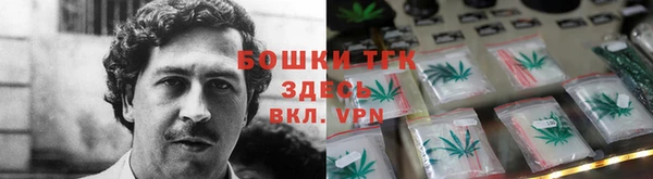 стафф Няндома