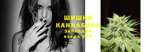 стафф Няндома