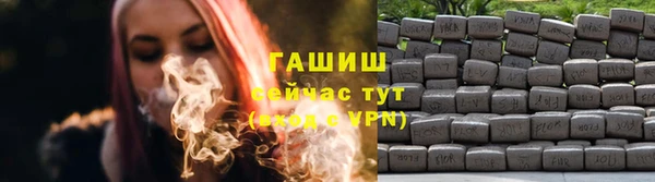 мдпв Новозыбков