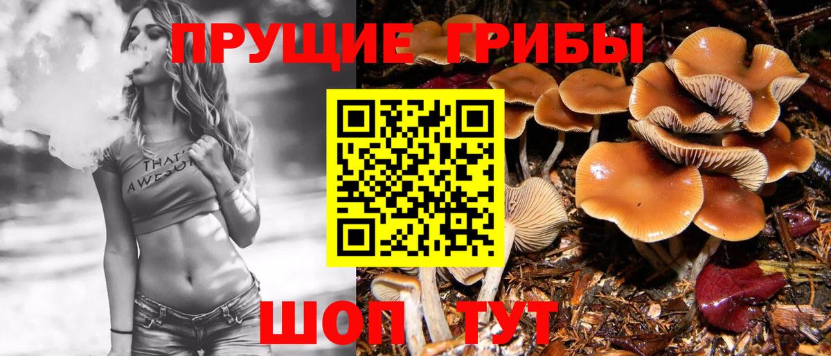 Псилоцибиновые грибы мицелий Россия