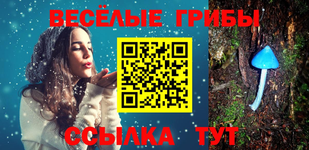 Галлюциногенные грибы мухоморы  Вход с VPN  Россия 